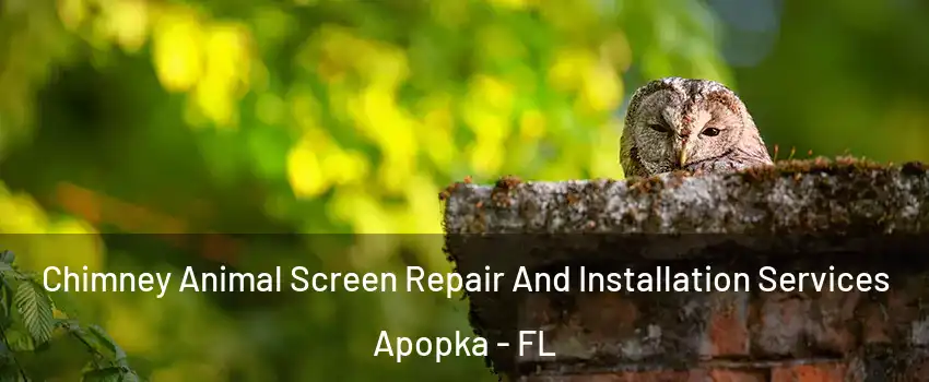  Chimney Animal Screen Repair And Installation Services Apopka - FL