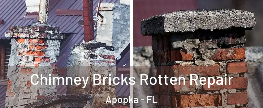  Chimney Bricks Rotten Repair Apopka - FL