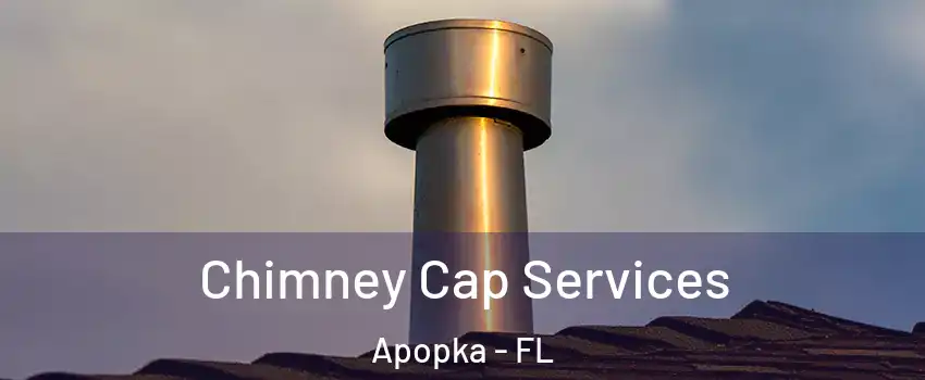  Chimney Cap Services Apopka - FL