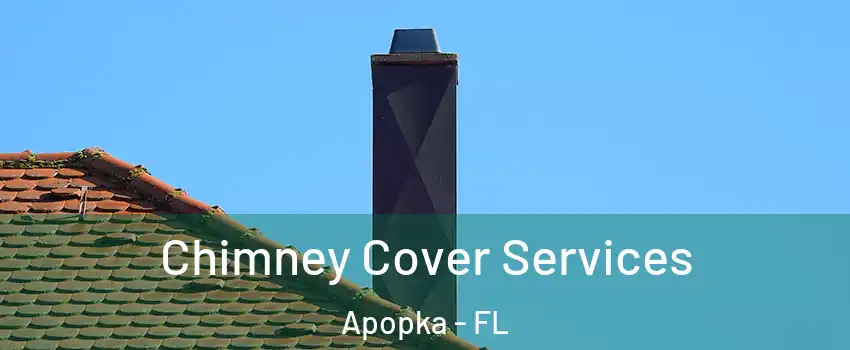  Chimney Cover Services Apopka - FL