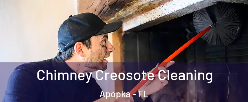  Chimney Creosote Cleaning Apopka - FL