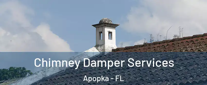  Chimney Damper Services Apopka - FL