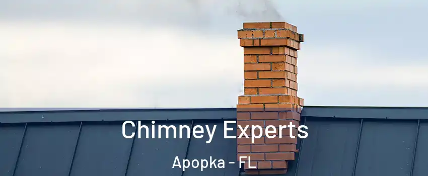 Chimney Experts Apopka - FL