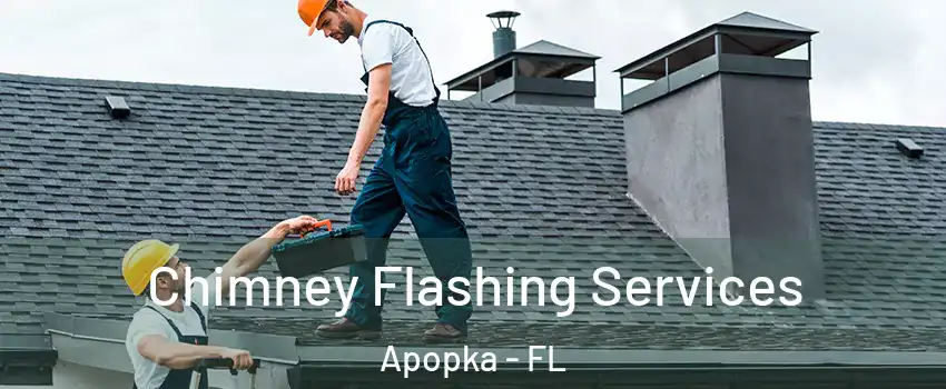 Chimney Flashing Services Apopka - FL
