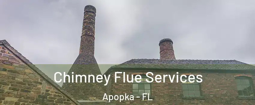  Chimney Flue Services Apopka - FL