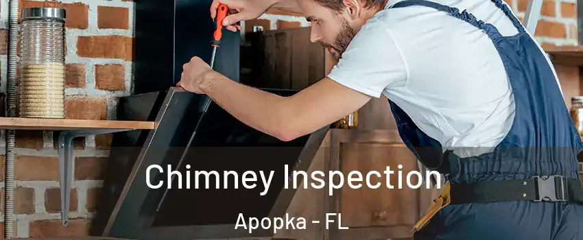  Chimney Inspection Apopka - FL