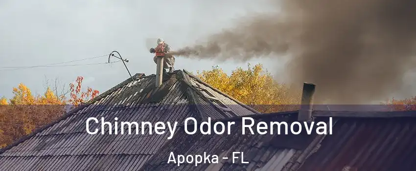  Chimney Odor Removal Apopka - FL