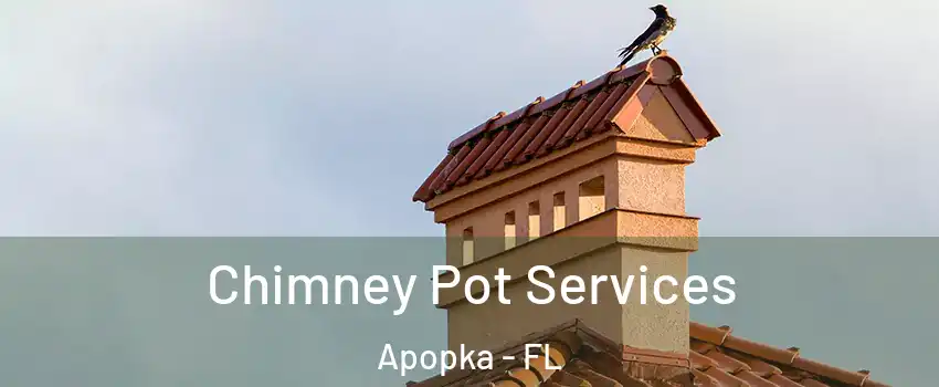  Chimney Pot Services Apopka - FL