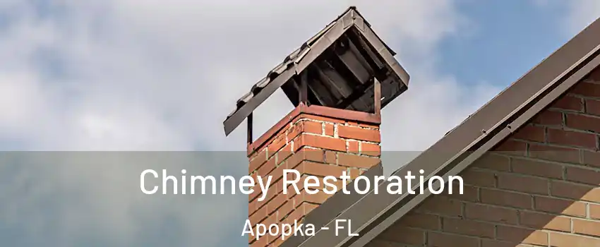  Chimney Restoration Apopka - FL