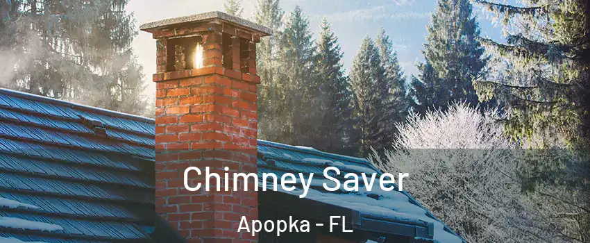  Chimney Saver Apopka - FL