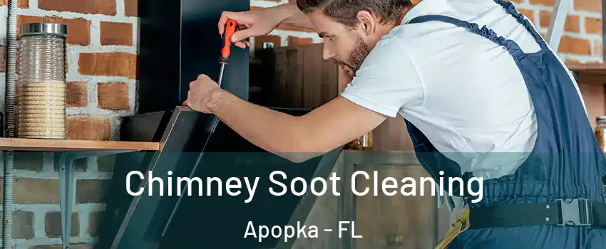  Chimney Soot Cleaning Apopka - FL
