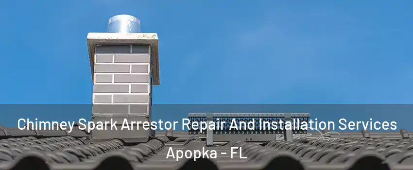  Chimney Spark Arrestor Repair And Installation Services Apopka - FL