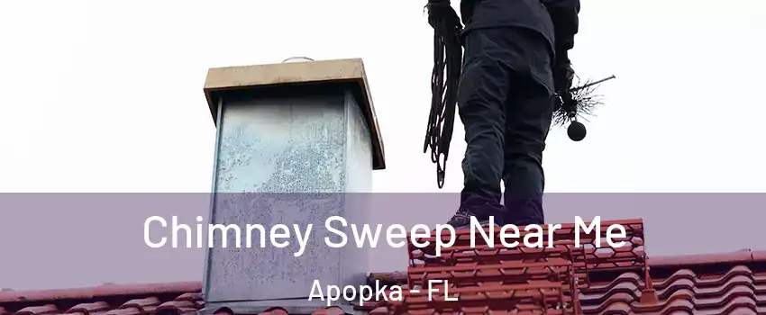  Chimney Sweep Near Me Apopka - FL