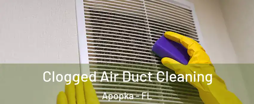  Clogged Air Duct Cleaning Apopka - FL