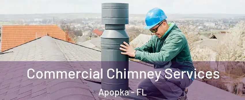  Commercial Chimney Services Apopka - FL