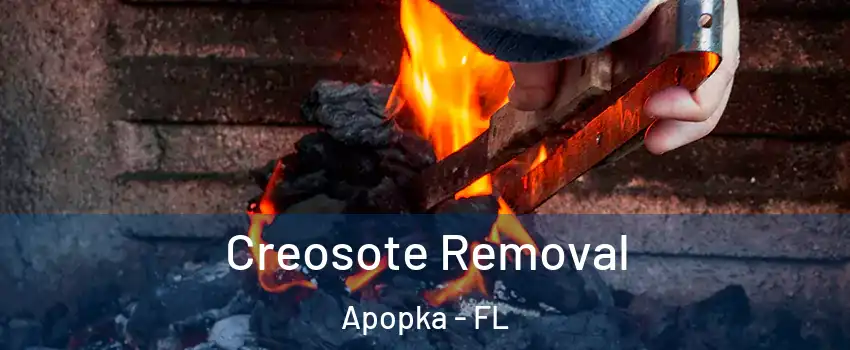  Creosote Removal Apopka - FL