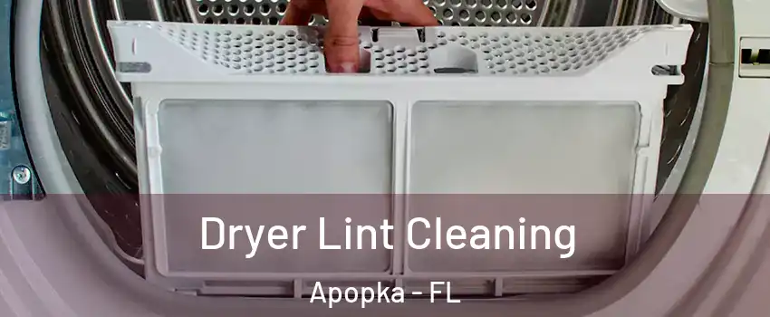  Dryer Lint Cleaning Apopka - FL