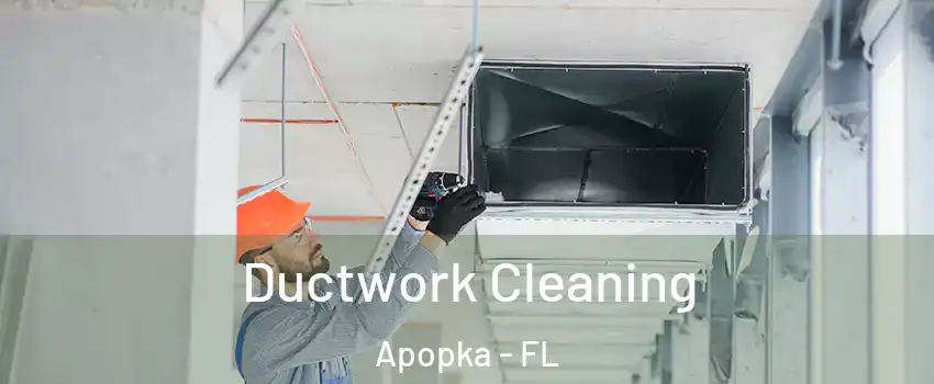 Ductwork Cleaning Apopka - FL