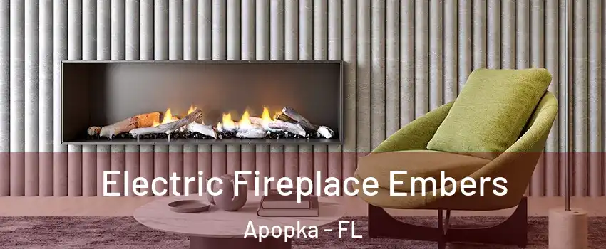  Electric Fireplace Embers Apopka - FL