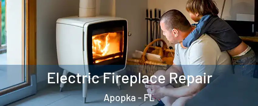  Electric Fireplace Repair Apopka - FL