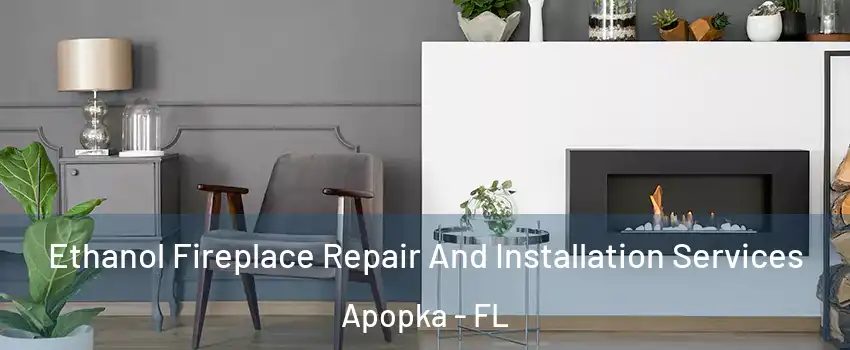  Ethanol Fireplace Repair And Installation Services Apopka - FL