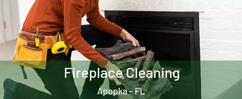 Fireplace Cleaning Apopka - FL