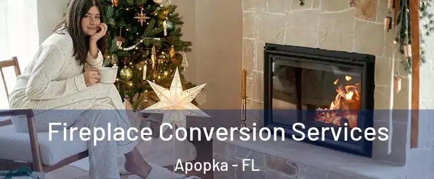  Fireplace Conversion Services Apopka - FL