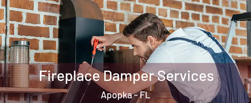  Fireplace Damper Services Apopka - FL
