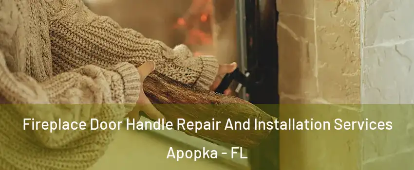  Fireplace Door Handle Repair And Installation Services Apopka - FL