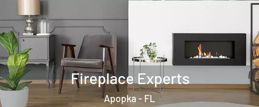  Fireplace Experts Apopka - FL