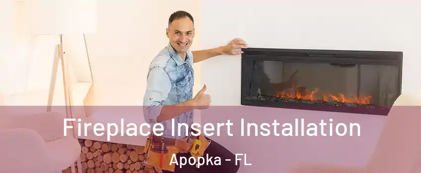  Fireplace Insert Installation Apopka - FL