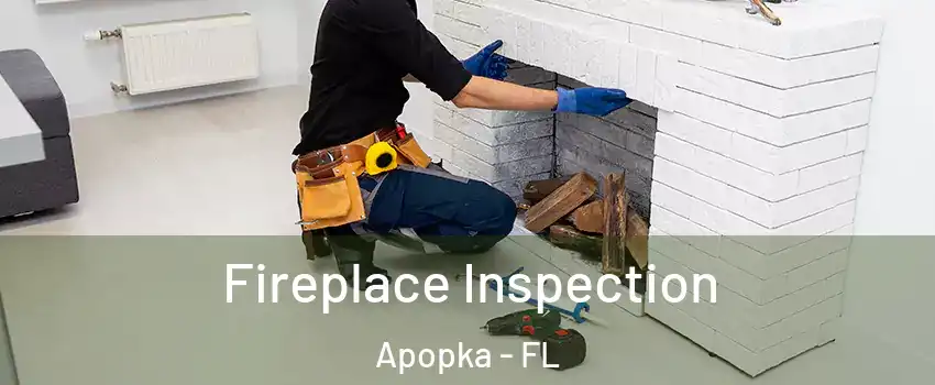  Fireplace Inspection Apopka - FL