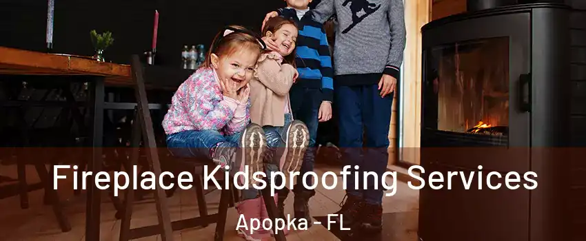  Fireplace Kidsproofing Services Apopka - FL