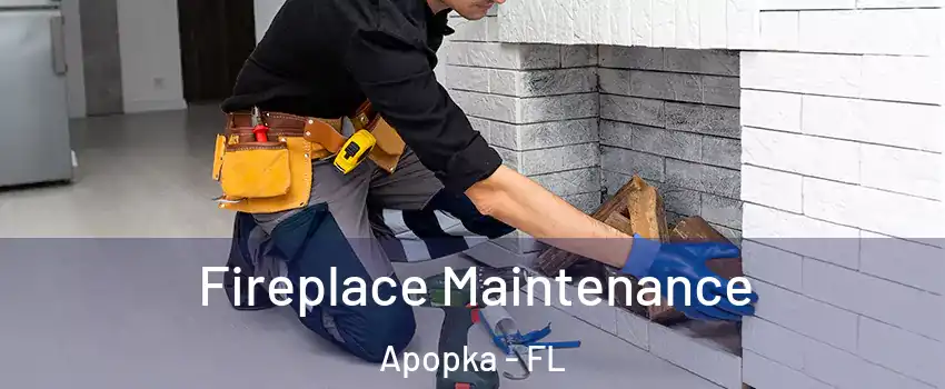  Fireplace Maintenance Apopka - FL