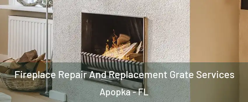  Fireplace Repair And Replacement Grate Services Apopka - FL