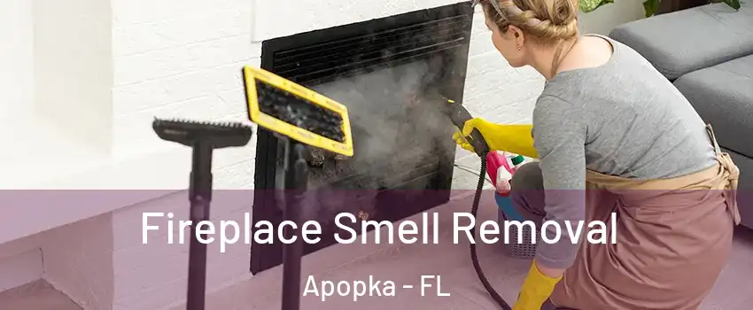  Fireplace Smell Removal Apopka - FL