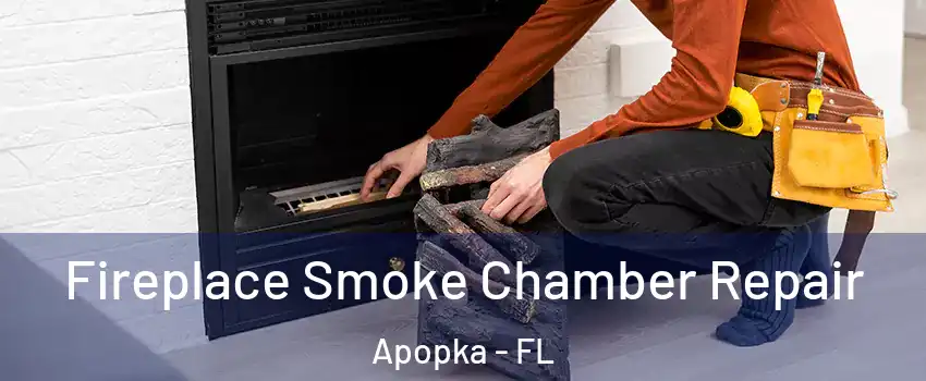  Fireplace Smoke Chamber Repair Apopka - FL