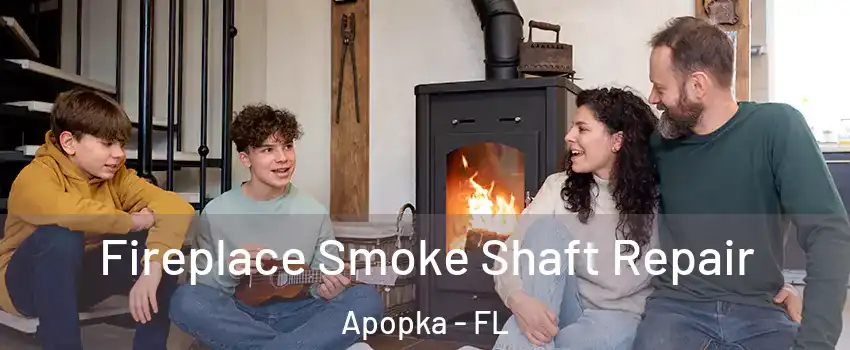  Fireplace Smoke Shaft Repair Apopka - FL