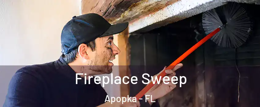  Fireplace Sweep Apopka - FL