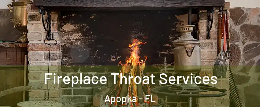  Fireplace Throat Services Apopka - FL