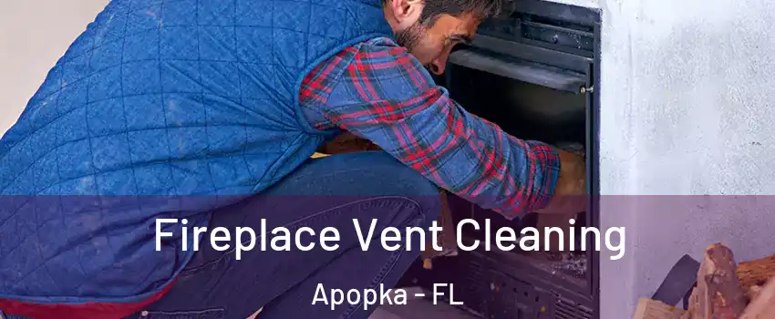  Fireplace Vent Cleaning Apopka - FL