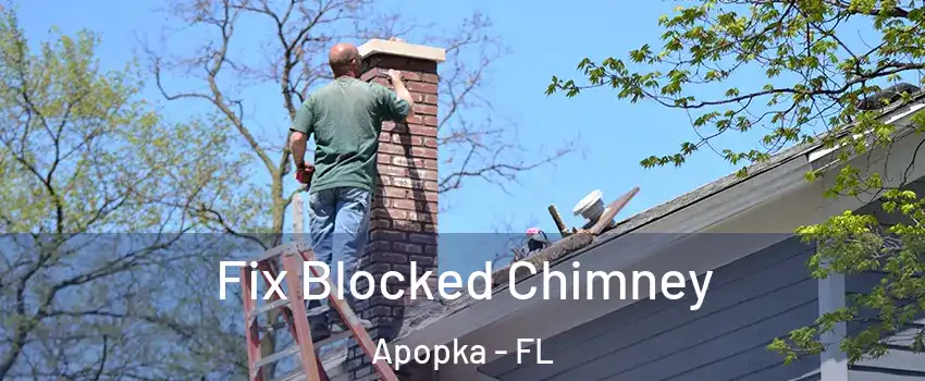  Fix Blocked Chimney Apopka - FL