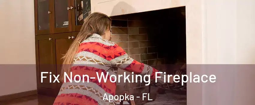  Fix Non-Working Fireplace Apopka - FL