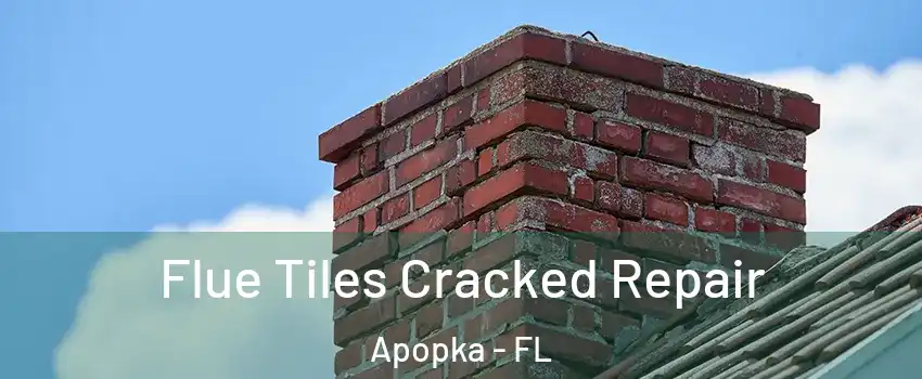  Flue Tiles Cracked Repair Apopka - FL