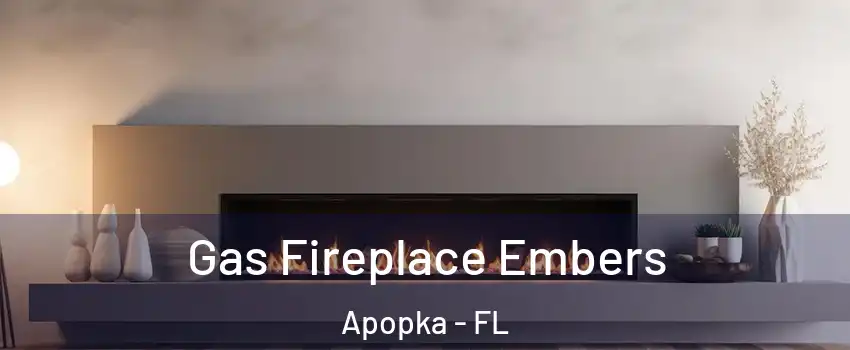  Gas Fireplace Embers Apopka - FL