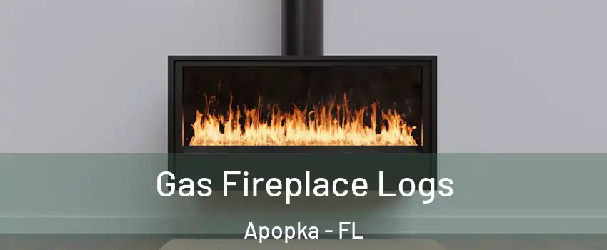  Gas Fireplace Logs Apopka - FL