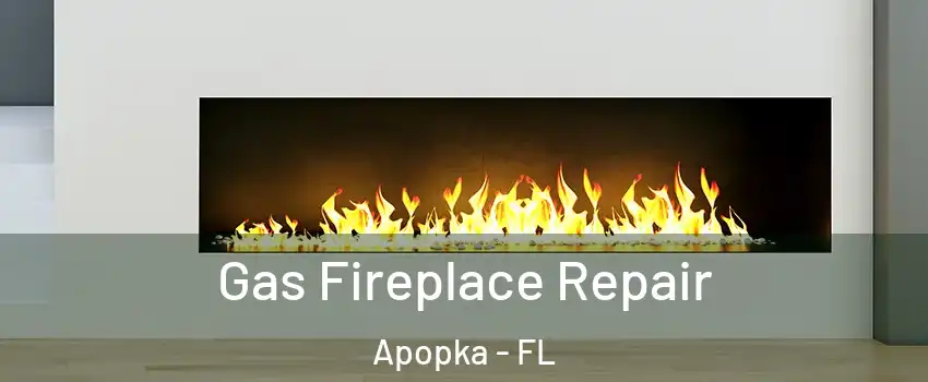 Gas Fireplace Repair Apopka - FL