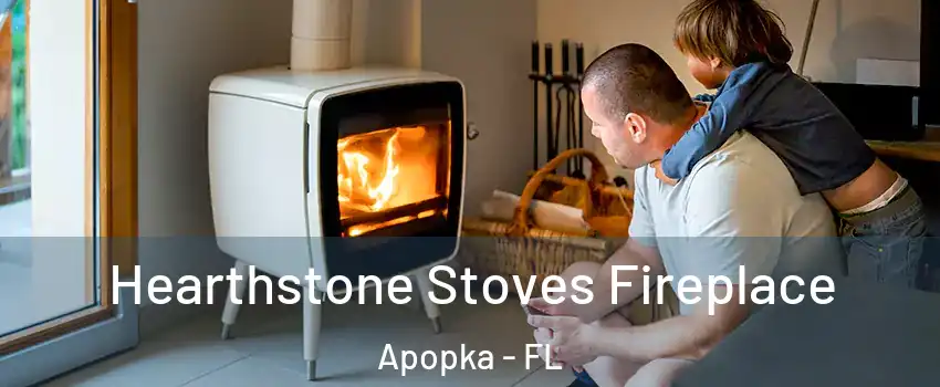  Hearthstone Stoves Fireplace Apopka - FL