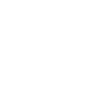 Professional Chimney Flue Installation in Apopka, Florida