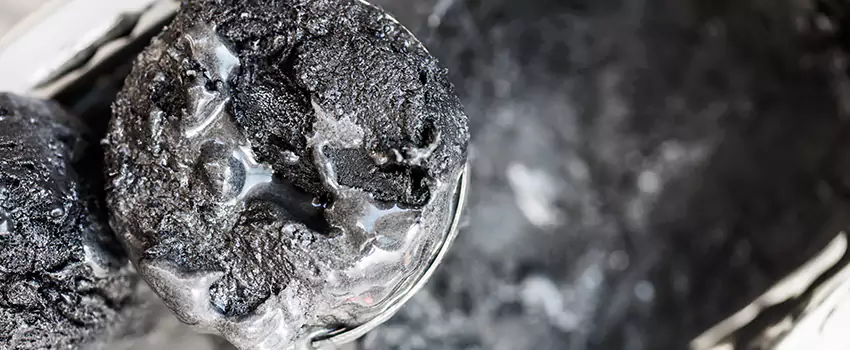 Clogged Dryer Vent Lint Cleaning in Apopka, Florida